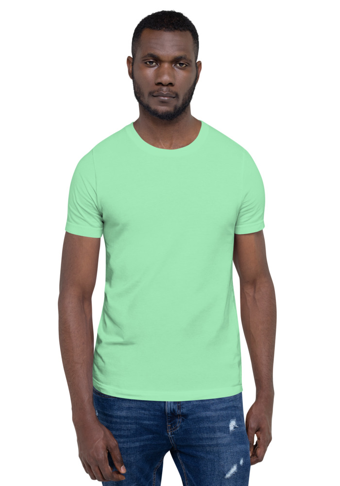 Bella + Canvas 3001 T-shirt in Mint for custom pet portrait embroidery